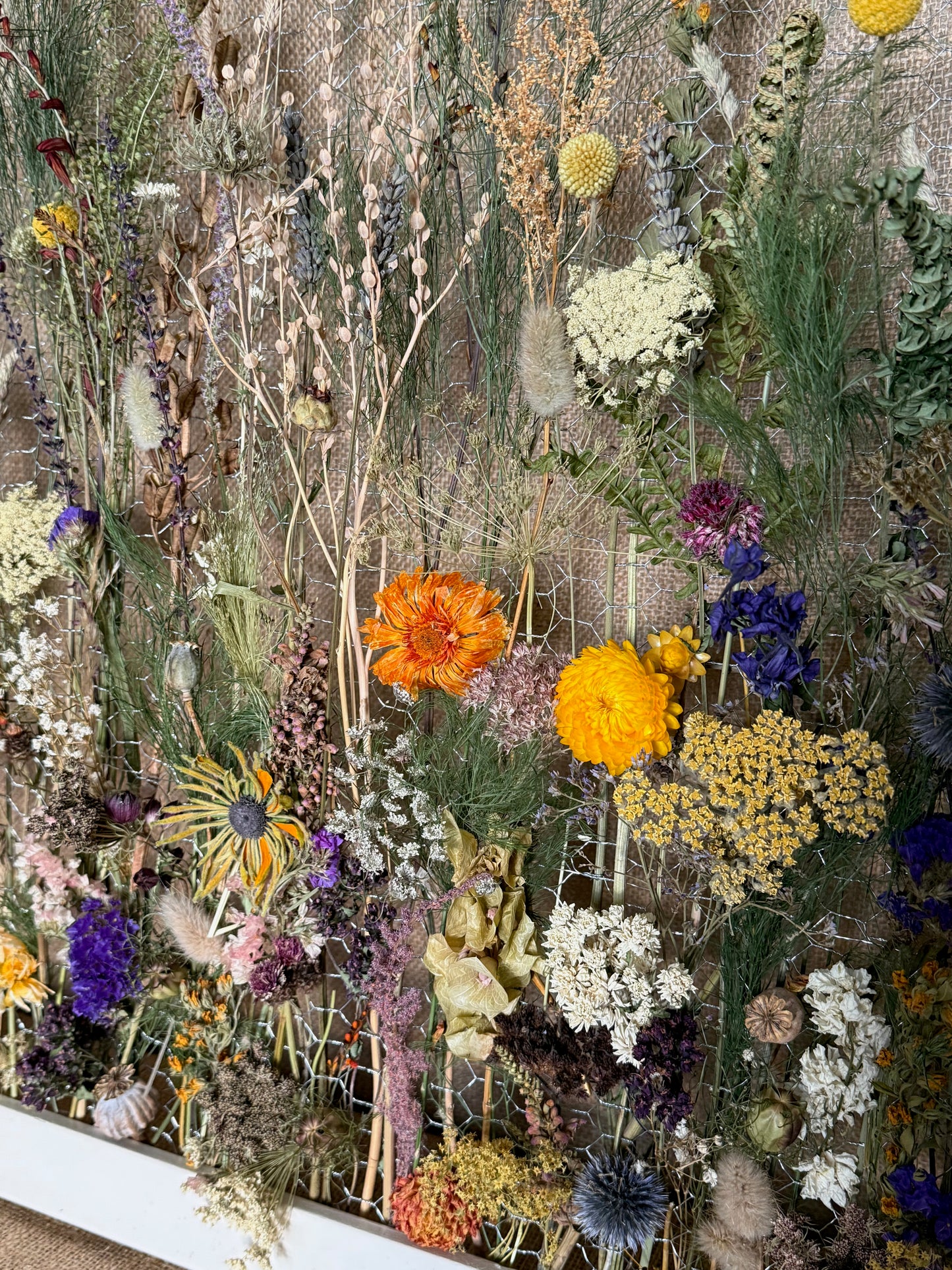 The Meadow Archive, Seed-to-Art Statement Meadow Panel (One of a Kind)