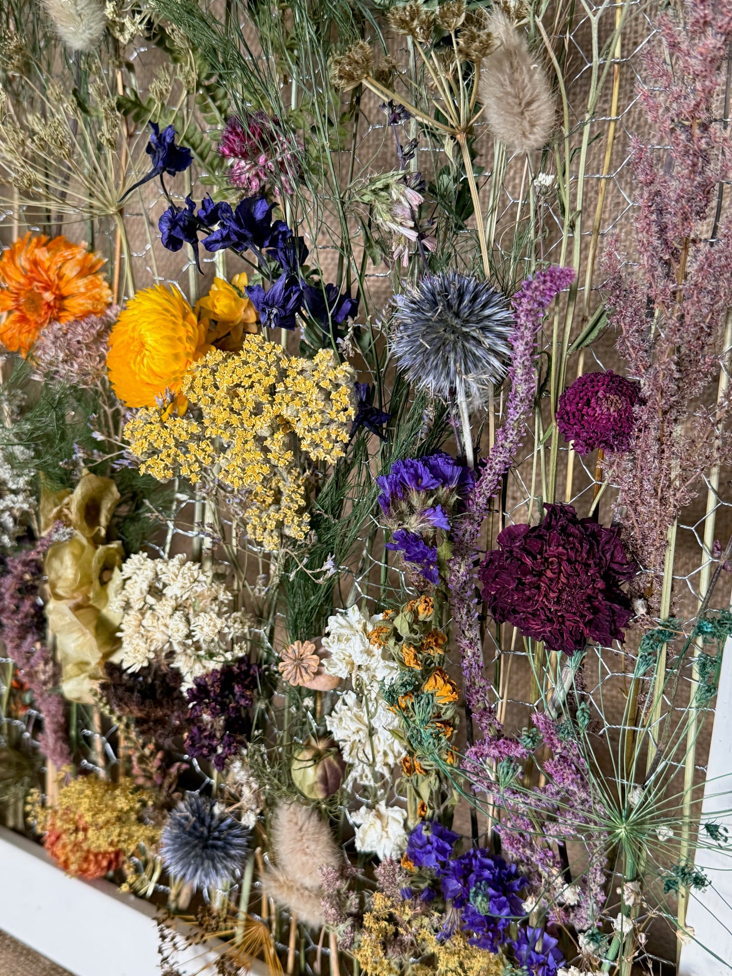 The Meadow Archive, Seed-to-Art Statement Meadow Panel (One of a Kind)