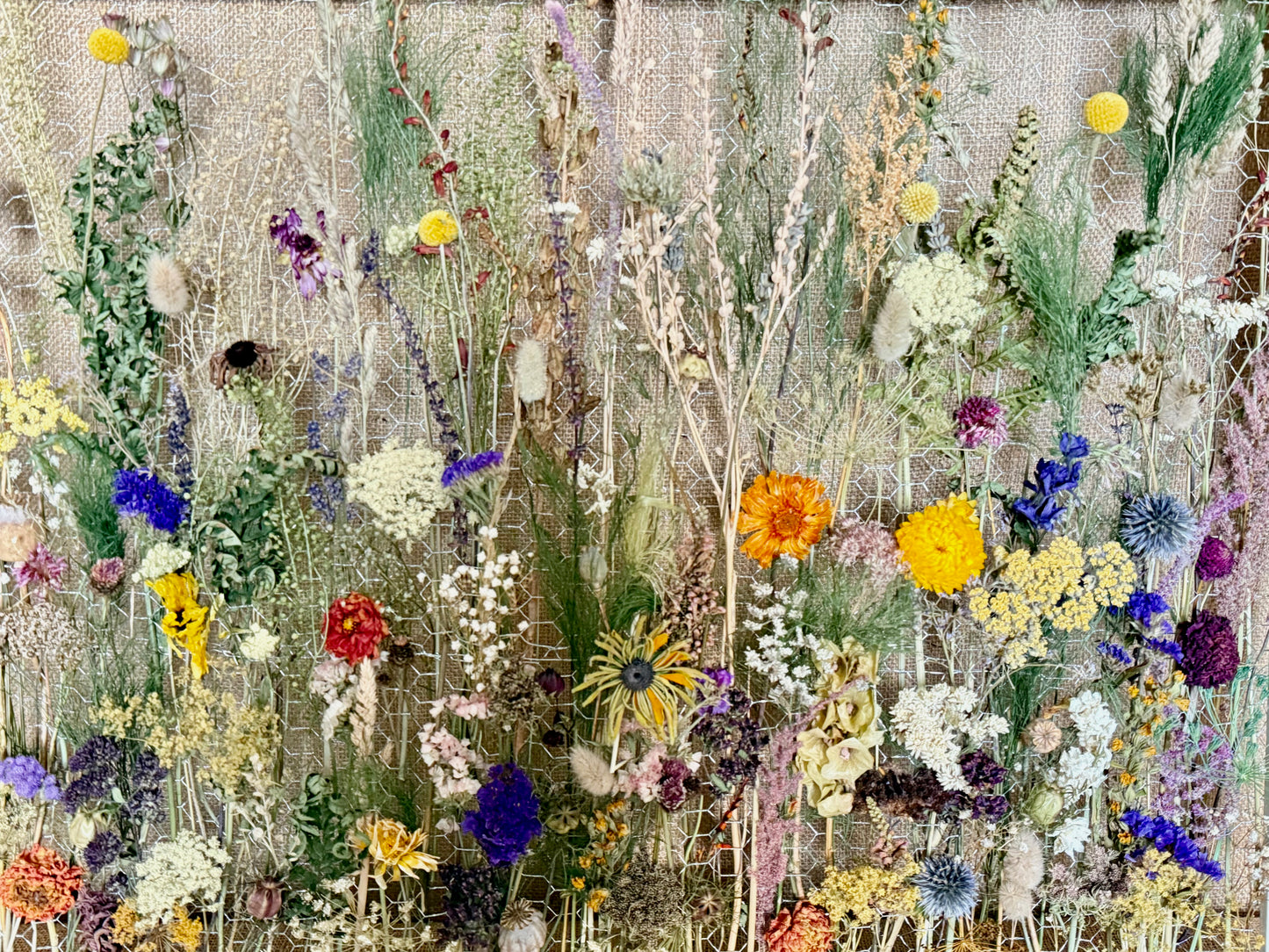 The Meadow Archive, Seed-to-Art Statement Meadow Panel (One of a Kind)