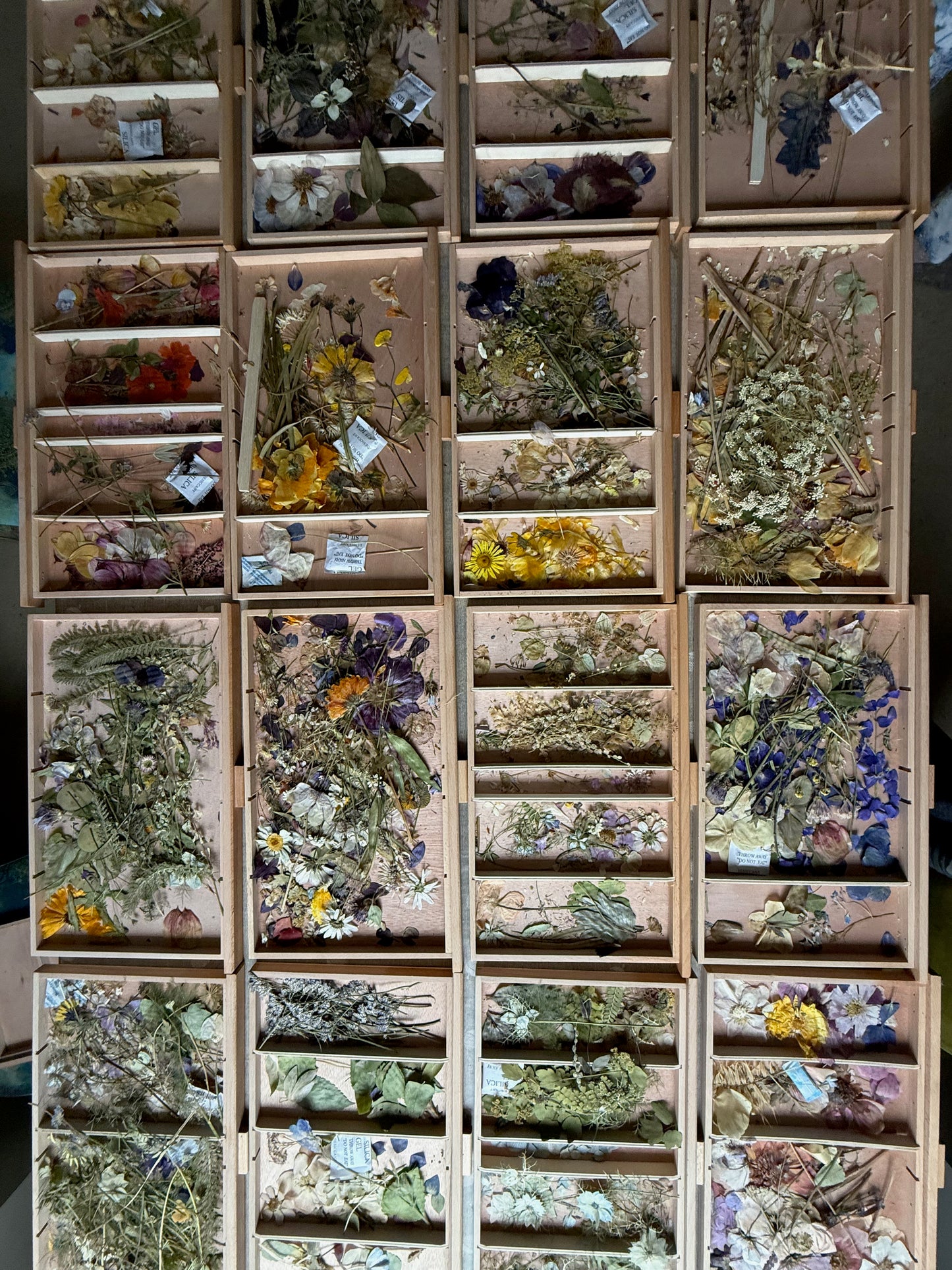 Flower Pressing Workshop – Learn to Press & Preserve Your Own Flowers (Bespoke)